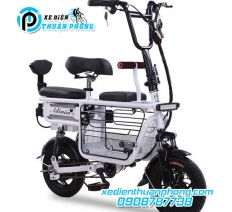 XE ĐẠP ĐIỆN ADIMAN GẤP GỌN PIN LITHIUM 48V15A