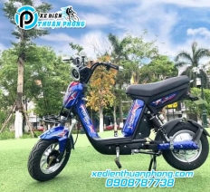 XE ĐẠP ĐIỆN CAP A20 LTP