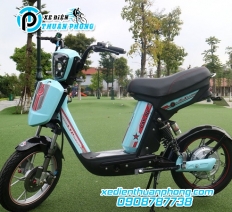 XE ĐẠP ĐIỆN CAP A20 LTP